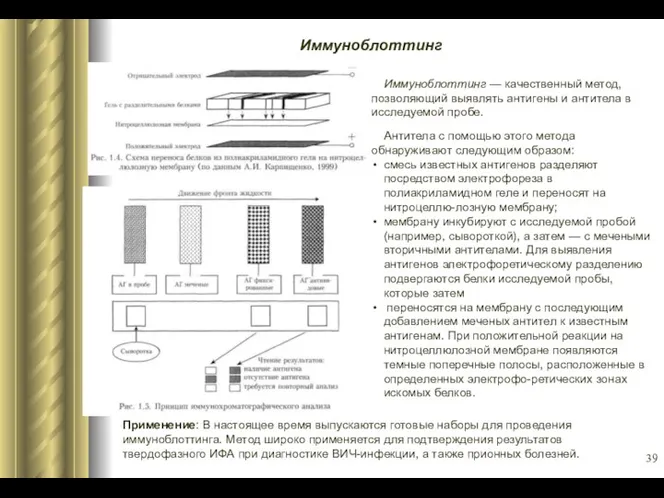 Иммуноблоттинг Иммуноблоттинг — качественный метод, позволяющий вы­являть антигены и антитела в исследуемой пробе.