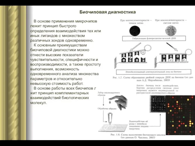 Биочиповая диагностика В основе применения микрочипов лежит принцип быстрого определения взаимодействия тех или