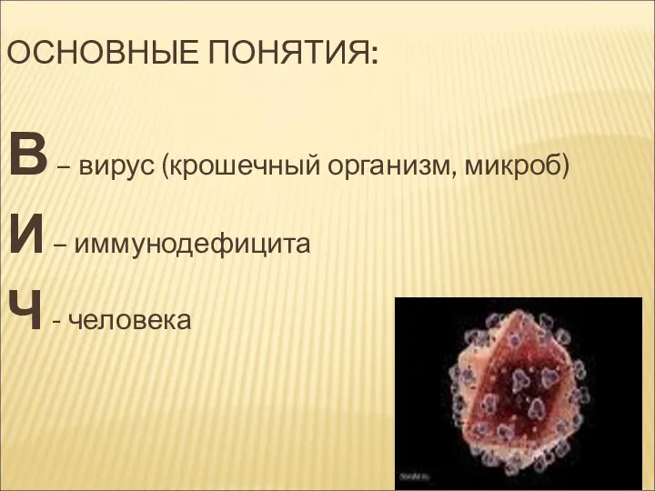 ОСНОВНЫЕ ПОНЯТИЯ: В – вирус (крошечный организм, микроб) И – иммунодефицита Ч - человека