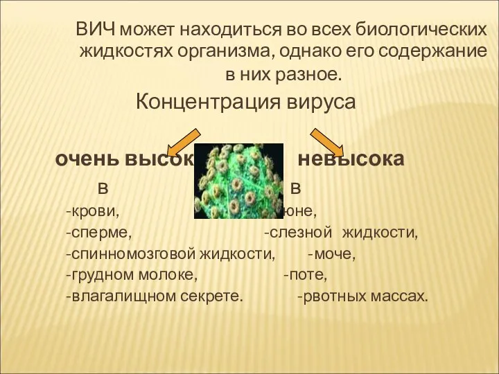 ВИЧ может находиться во всех биологических жидкостях организма, однако его