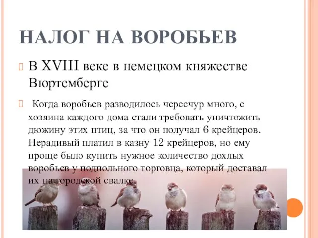 НАЛОГ НА ВОРОБЬЕВ В XVIII веке в немецком княжестве Вюртемберге Когда воробьев разводилось