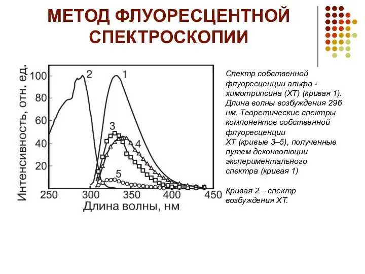 МЕТОД ФЛУОРЕСЦЕНТНОЙ СПЕКТРОСКОПИИ Спектр собственной флуоресценции альфа -химотрипсина (ХТ) (кривая