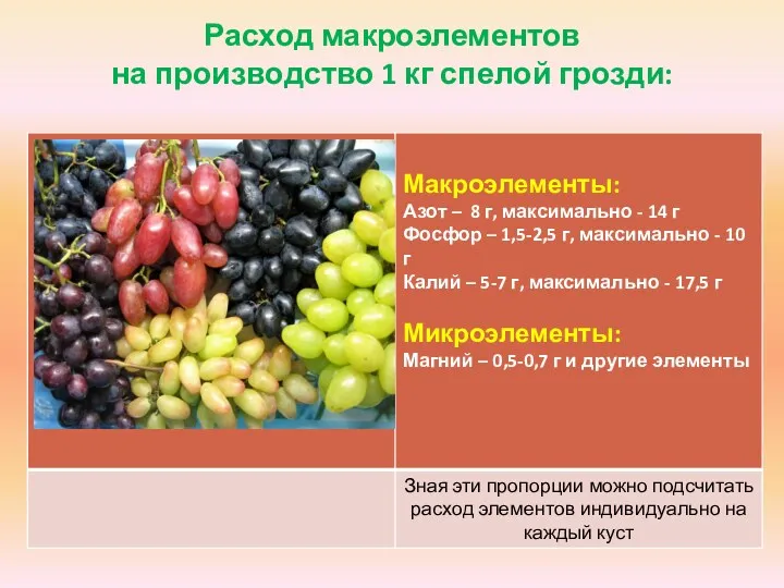 Расход макроэлементов на производство 1 кг спелой грозди: