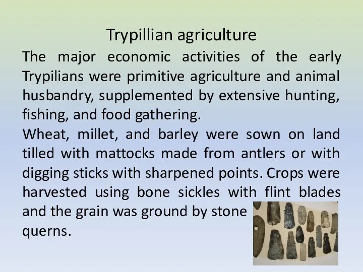 Trypillian agriculture The major economic activities of the early Trypilians