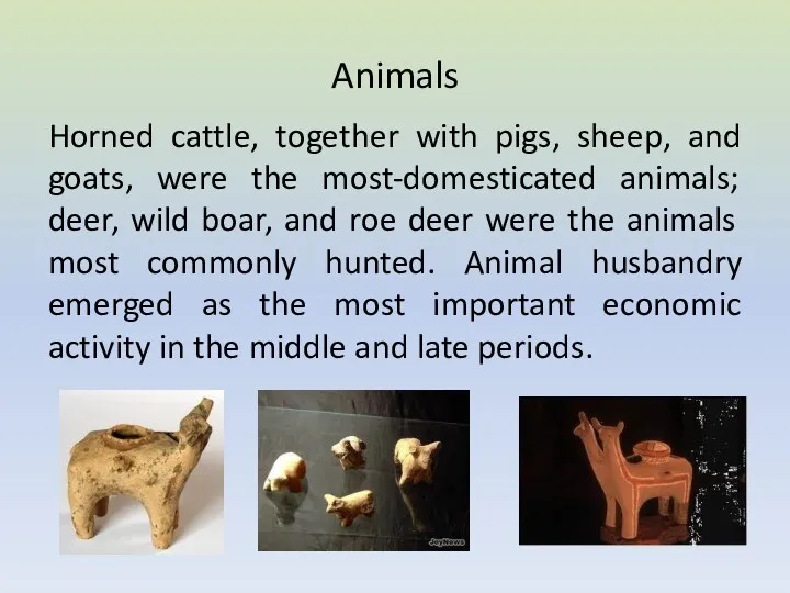 Animals Horned cattle, together with pigs, sheep, and goats, were