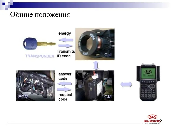 Общие положения