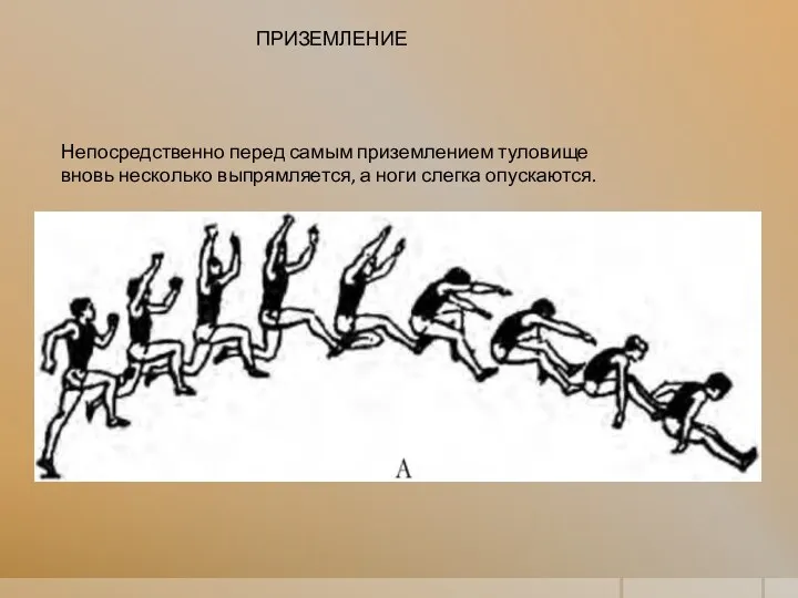 Непосредственно перед самым приземлением туловище вновь несколько выпрямляется, а ноги слегка опускаются. ПРИЗЕМЛЕНИЕ