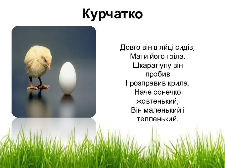 Курчатко Довго він в яйці сидів, Мати його гріла. Шкаралупу