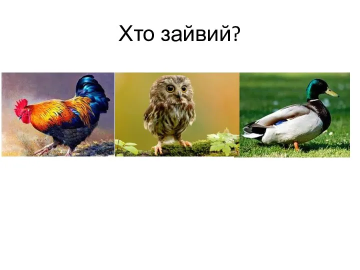 Хто зайвий?