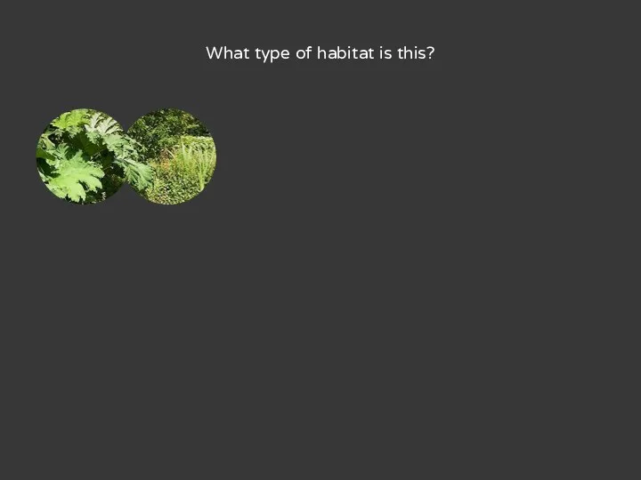 What type of habitat is this?