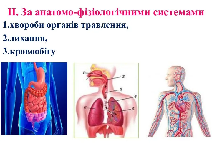 ІІ. За анатомо-фізіологічними системами 1.хвороби органів травлення, 2.дихання, 3.кровообігу