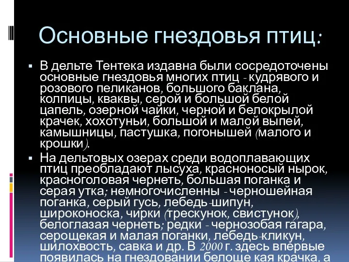 Основные гнездовья птиц: В дельте Тентека издавна были сосредоточены основные