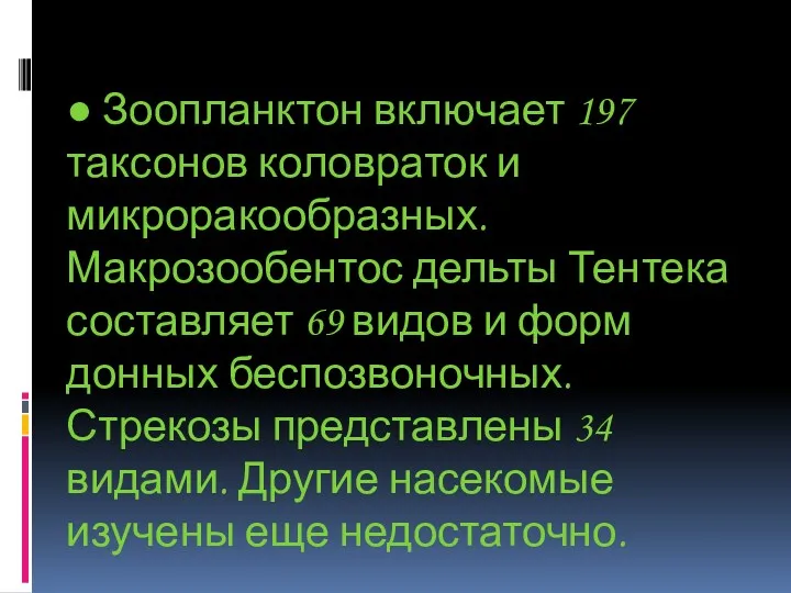 ● Зоопланктон включает 197 таксонов коловраток и микроракообразных. Макрозообентос дельты