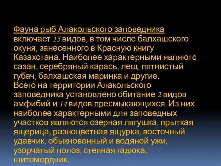 Фауна рыб Алакольского заповедника включает 15 видов, в том числе