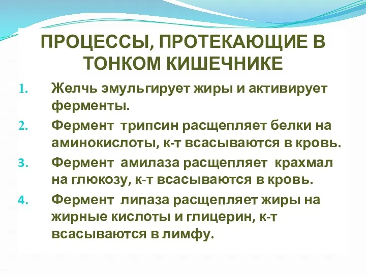 ПРОЦЕССЫ, ПРОТЕКАЮЩИЕ В ТОНКОМ КИШЕЧНИКЕ Желчь эмульгирует жиры и активирует