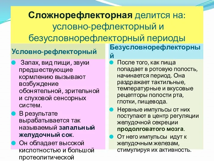 Сложнорефлекторная делится на: условно-рефлекторный и безусловнорефлекторный периоды Условно-рефлекторный Безусловнорефлекторный Запах,