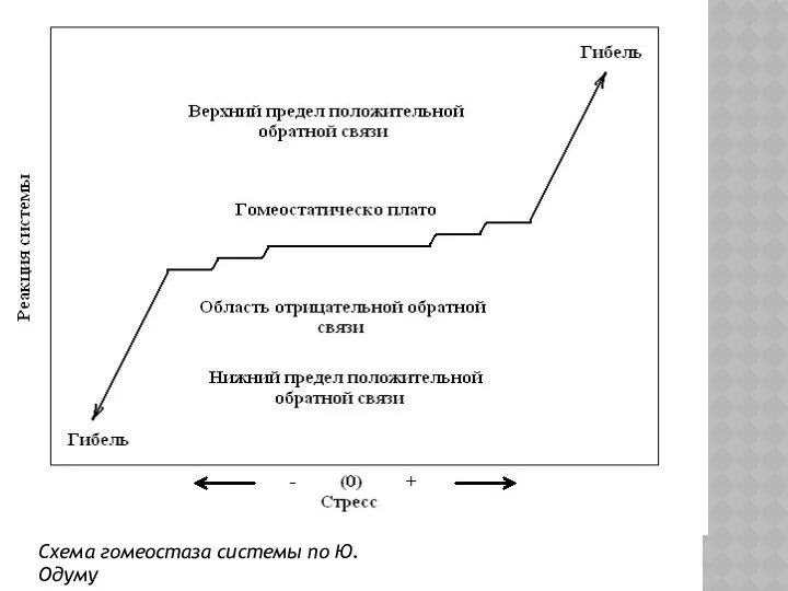 Схема гомеостаза системы по Ю. Одуму