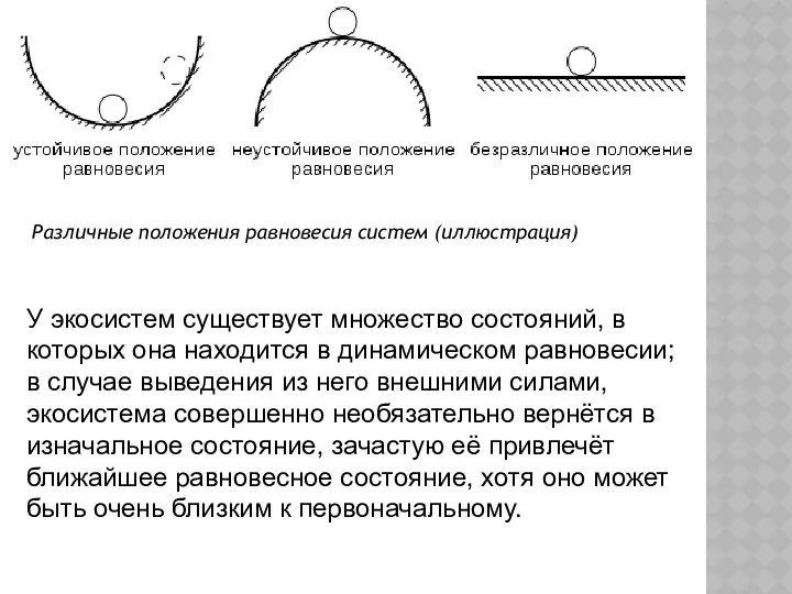 Различные положения равновесия систем (иллюстрация) У экосистем существует множество состояний,