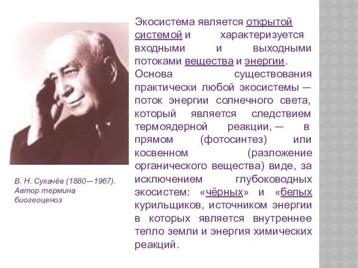 В. Н. Сукачёв (1880—1967). Автор термина биогеоценоз Экосистема является открытой