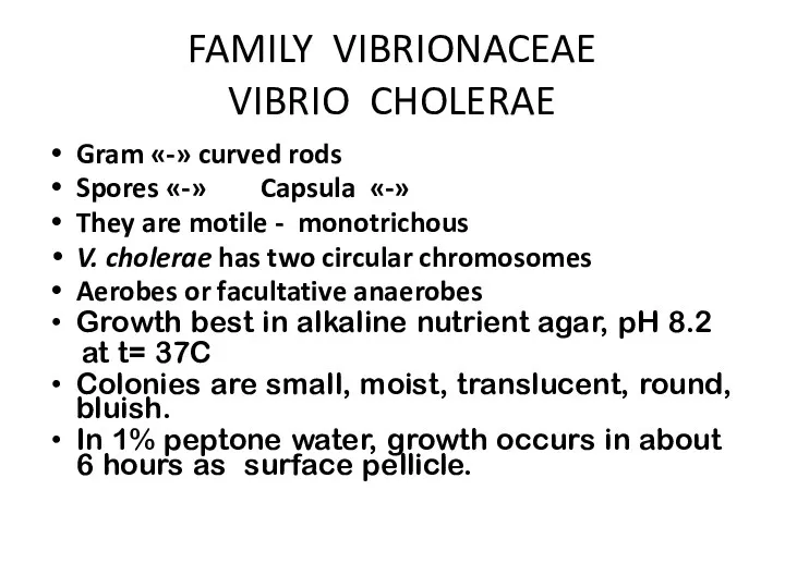 FAMILY VIBRIONACEAE VIBRIO CHOLERAE Gram «-» curved rods Spores «-» Capsula «-» They