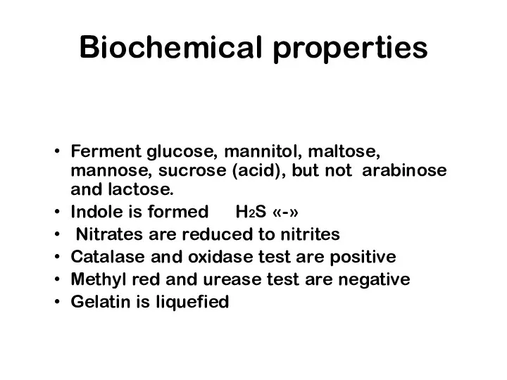 Biochemical properties Ferment glucose, mannitol, maltose, mannose, sucrose (acid), but not arabinose and