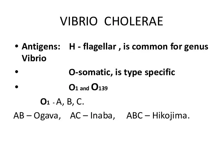 VIBRIO CHOLERAE Antigens: H - flagellar , is common for genus Vibrio O-somatic,