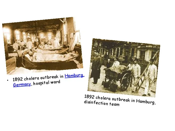 1892 cholera outbreak in Hamburg, Germany, hospital ward 1892 cholera outbreak in Hamburg, disinfection team