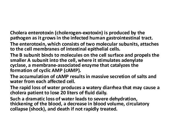 Cholera enterotoxin (cholerogen-exotoxin) is produced by the pathogen as it grows in the