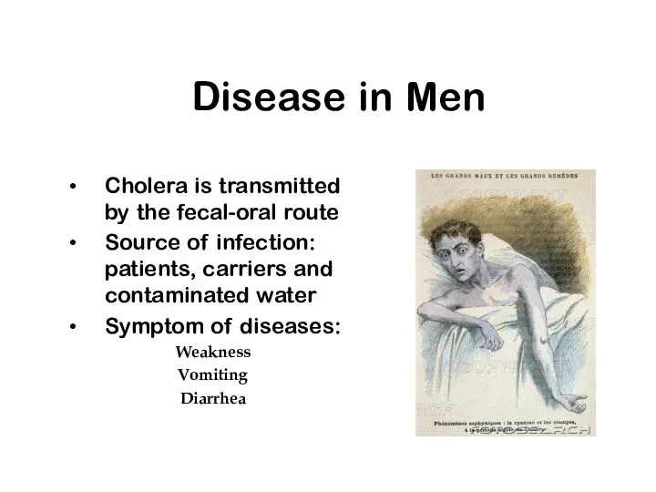 Disease in Men Cholera is transmitted by the fecal-oral route Source of infection: