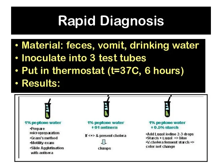 Rapid Diagnosis Material: feces, vomit, drinking water Inoculate into 3 test tubes Put