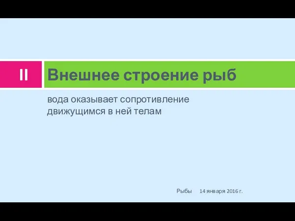 вода оказывает сопротивление движущимся в ней телам Внешнее строение рыб 14 января 2016 г. Рыбы II