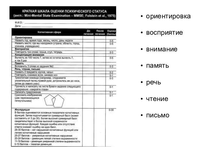 ориентировка восприятие внимание память речь чтение письмо