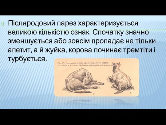 Післяродовий парез характеризується великою кількістю ознак. Спочатку значно зменшується або зовсім пропадає не