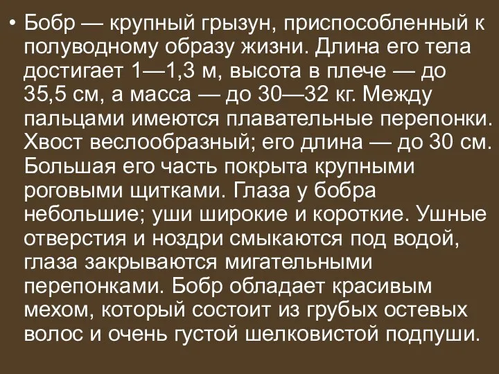 Бобр — крупный грызун, приспособленный к полуводному образу жизни. Длина его тела достигает