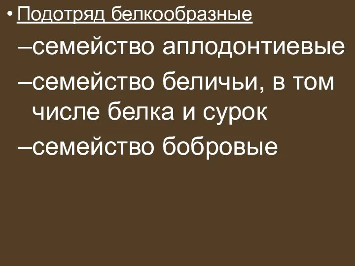 Подотряд белкообразные семейство аплодонтиевые семейство беличьи, в том числе белка и сурок семейство бобровые