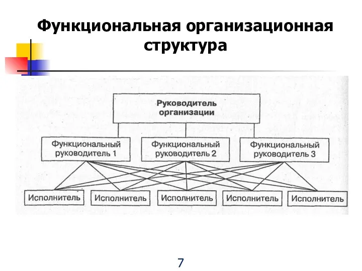 7 Функциональная организационная структура