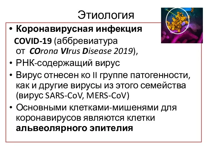 Этиология Коронавирусная инфекция COVID-19 (аббревиатура от COrona VIrus Disease 2019),