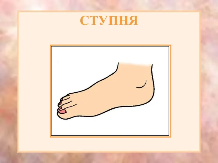 СТУПНЯ