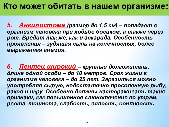 Кто может обитать в нашем организме: 5. Анкилостома (размер до 1,5 см) –