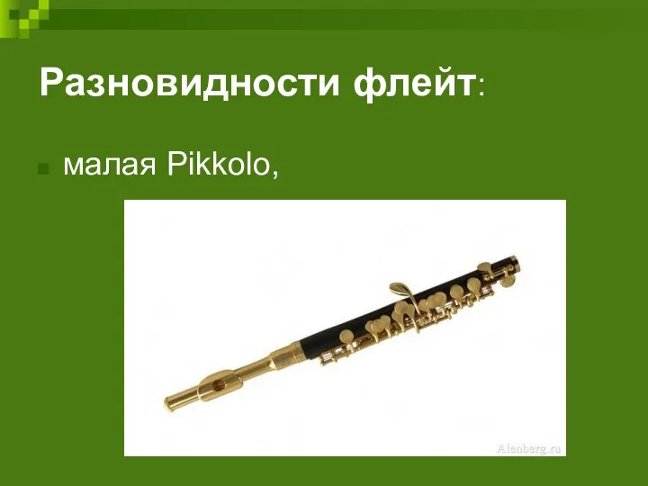 Разновидности флейт: малая Pikkolo,