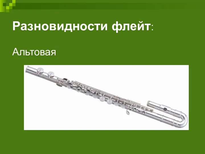 Разновидности флейт: Альтовая