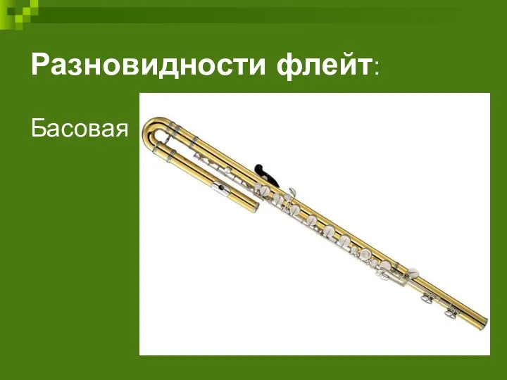 Разновидности флейт: Басовая