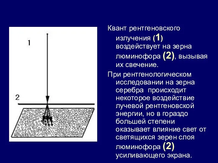 Квант рентгеновского излучения (1) воздействует на зерна люминофора (2), вызывая