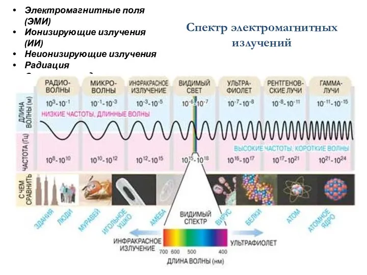 Спектр электромагнитных излучений Электромагнитные поля (ЭМИ) Ионизирующие излучения (ИИ) Неионизирующие излучения Радиация Солнечная радиация