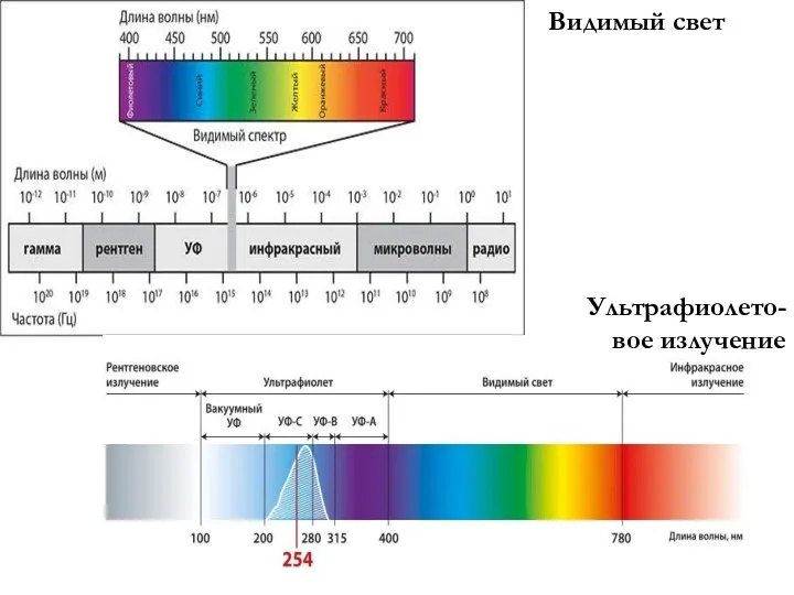 Ультрафиолето-вое излучение Видимый свет