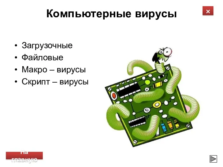 Компьютерные вирусы Загрузочные Файловые Макро – вирусы Скрипт – вирусы × На главную