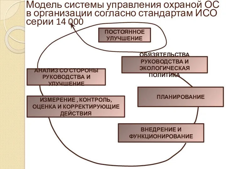 Модель системы управления охраной ОС в организации согласно стандартам ИСО серии 14 000