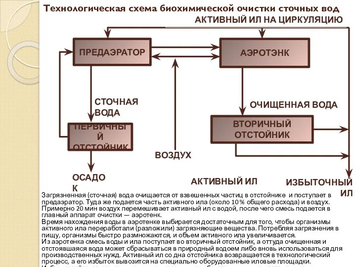 Технологическая схема биохимической очистки сточных вод ПРЕДАЭРАТОР ПЕРВИЧНЫЙ ОТСТОЙНИК АЭРОТЭНК