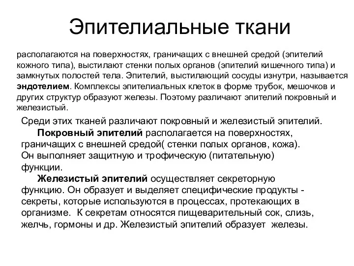 Эпителиальные ткани располагаются на поверхностях, граничащих с внешней средой (эпителий