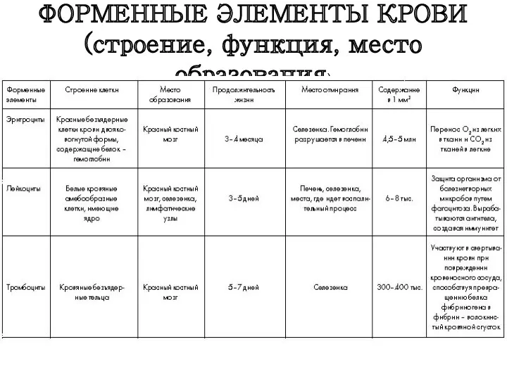 ФОРМЕННЫЕ ЭЛЕМЕНТЫ КРОВИ (строение, функция, место образования)